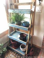 Full view of rustic wooden plant shelf with three blue-painted shelves and natural wood frame. Displayed with plants but plants not included.