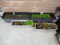 Four garden planters placed against a wall, two black and two light beige containing soil with plants and greenery remnants.