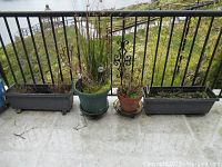 Photo of all four planters arranged on a concrete floor next to a black metal railing, showing all items in the lot.