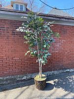 Full view of the 6-foot plastic tree in planter outdoors against a brick wall, showing overall height and form.