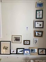 Wall display of 13 framed bird pictures in various sizes and frames arranged in an asymmetrical grouping on a white wall.