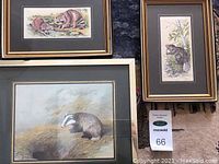 Three animal framed woven art prints: badger, raccoons, beaver. Clearly shows size, matting, and framing detail.