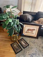 Wide view of framed panther artwork leaning against sofa with two smaller framed African animal artworks on floor and the tall faux plant in gold container.