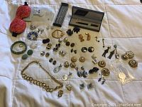 Full assortment of jewelry and accessories laid out showing the variety of earrings, brooches, bracelet, ring, and other pieces.