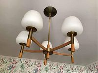 Front angled view of 5 lamp chandelier showing frosted glass globes, brass arms with wood veneer accent, and suspension rod.