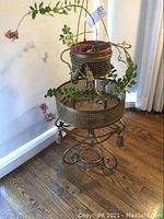 Full view of gold painted metal plant stand with two tiers and plant inside top basket, showing overall design and condition