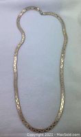 Full view of the sterling silver chain necklace laid flat showing overall length and clasp.