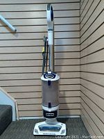 Front view of upright Shark vacuum cleaner showing clear dust container, handle, base labeled 'Professional' and power cord wrapped on side.