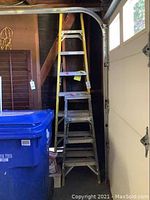 Full view of Werner fiberglass ladder and smaller aluminum ladder against wall in a garage.