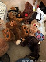 Overview of all ten plush teddy bears of various colors and sizes, placed together, showing the range of collectible bears in the lot