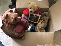 Box containing six different bears in plush, wood, and ceramic, showing carved wood bear carrying books, a plush bear with red shirt and tag, and another plush bear in yellow vest.