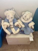 Photo of two white stuffed teddy bears wearing winter wonderland blue coats with white fur trim, sitting on a box.
