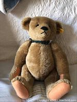 Front full view of the large Steiff bear showing the stuffed body, facial features, ear tag, and orange felt paw pads.