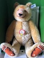 Front view of the golden mohair Dicky Bear plush in green original box showing sewn nose, mouth, and contrasting paw pads.