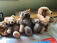 Four Steiff bears lined up with visible yellow Steiff ear tags and one small bear with a decorative scarf.