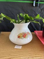 Front view of Zygo cactus plant in decorative white ceramic pot with floral and fruit pattern on one side.