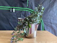 English Ivy trailing out of a vintage metal coffee pot against a black background with green zipper detail