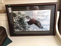 Framed large format print with eagle in flight and fir forest background shown leaning against wall.