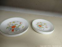 Group photo showing 9 vintage Corelle dinner plates with colorful floral design and green trim.
