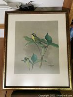Full view of the framed bird print showing the artwork, frame and mat.