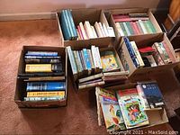Six boxes filled with various books including vintage children's books, reference, and general reading material arranged on carpeted floor.
