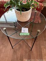 Top view of glass round table with Christmas Cactus in white ceramic pot on top.