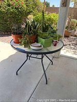 Full view of round black metal frame table with glass top holding various potted plants and small plates on a patio