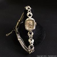 Watch on black display stand showing full bracelet and case profile