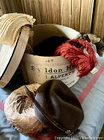Six vintage women's hats inside Sheldon Hats round box with lid partly removed, showing feathered and netted hats.