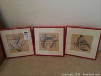 Three framed black and white ocean-themed drawings laid on a carpeted floor. Each drawing shows a different marine creature and is framed in red frames with glass.