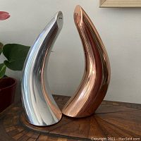 Pair of horn-shaped salt and pepper shakers, one silver-tone, one copper-tone, on wooden surface with plant in background.