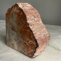 Side view showing triangular shape, polished face with warm brown and red markings, rough bark texture on edges.