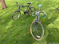 Two bicycles on grass, a black men's bike and a blue women's bike side by side, showing overall design and type