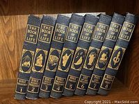 Spine view showing all 8 volumes with title The Book of Life and volume subtitles