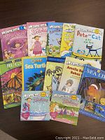 All 12 books laid out showing front covers including Pinkalicious (multiple editions), Amelia Bedelia, Bugs, Sea Turtles, Pete the Cat, Smurfs, and Sea Life