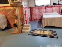 Wide view showing cat tree, pet stairs, area rug, and part of basement room