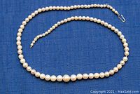 Full view of the 17 inch necklace laid out flat showing the entire length and clasp.