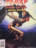 Close-up of Heavy Metal Special Edition magazine cover showing fantasy artwork of a character with spikes and elaborate headgear.