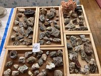 Full overview of the mineral and rock lot containing multiple wooden trays with diverse specimens including quartz, amethyst, coral, geodes, and other minerals.