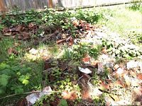 Wide view showing multiple large piles of assorted red bricks in outdoor grassy area with weeds and brush growing around them