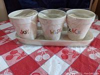 Full set of three Rae Dunn flower pots labeled JOY, WISH, PEACE arranged on the rectangular tray, all wrapped in original plastic packaging.