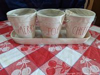 Front view of three ceramic flower pots labeled MERRY, JOY, CHEER on a rectangular tray, all wrapped in plastic.