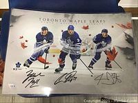 Front view of the signed Toronto Maple Leafs photograph showing all three signed player images under clear acrylic protector.
