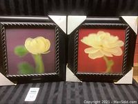 Pair of framed floral prints, one with ivory flower on aubergine background and one floral on red background, both in black twisted rope frames with corner protectors.