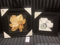 Two framed floral art prints placed on a dark fabric background, with one featuring a beige flower and the other a black and white flower.