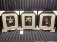 Photo showing three framed orchid prints side by side on a dark striped background, each with protective corner covers.