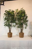 Pair of artificial Umbrella style trees with full green foliage and natural woven pots, approximately 4.5 feet tall, viewed from front on white background.