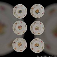 Six fruit motif plates arranged flat, showing each unique central fruit design.