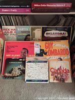 Photo showing a variety of individual LP albums and some boxed sets including Harry Belafonte, Guy Lombardo, and show tunes.