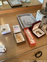 Overall display of jewelry items including silver-tone choker and earrings, gold-tone rose brooch, thin chain, and multiple boxed pieces